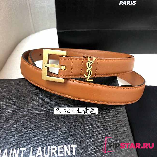 YSL logo brown belt 2cm - 1