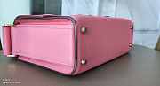 Hermes Darg Pink 22cm - 5