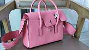 Hermes Darg Pink 22cm - 6