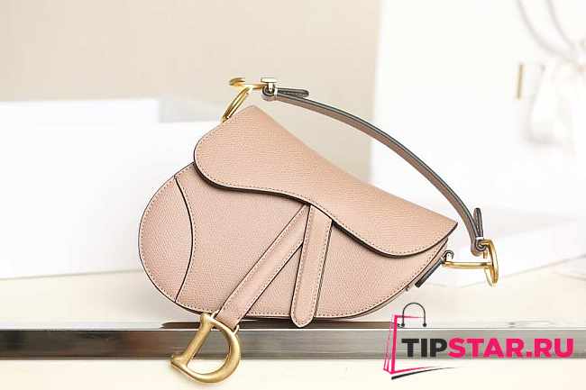 Dior Mini Saddle Bag Beige Grained Leather M0447 Size 21x18x5cm - 1
