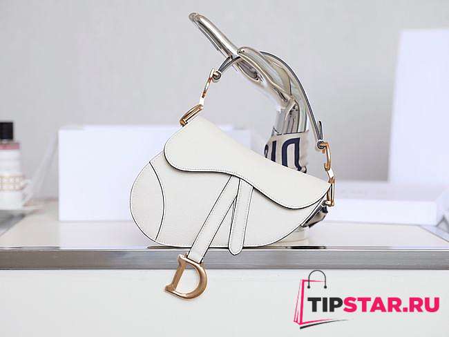 Dior Mini Saddle Bag White Grained Leather M0447 Size 21x18x5cm - 1