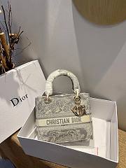 Dior Lady Gray Toile De Jouy Embroidery Size 24 x 20 x 11 cm - 1