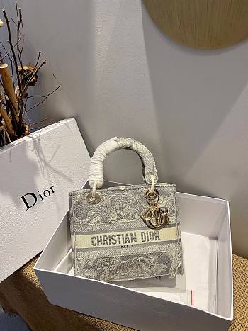 Dior Lady Gray Toile De Jouy Embroidery Size 24 x 20 x 11 cm