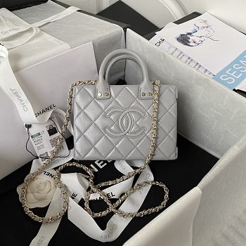 Chanel Small Vanity Bag Gray Calfskin AS3344 size 11.5x15x8.5 cm