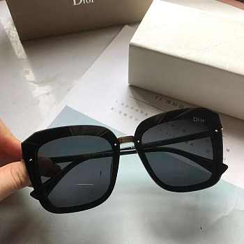 Dior Fashion Polarizing Lady Sunglasses