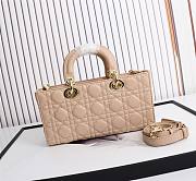 Dior Lady D-Joy Bag Rose Des Vents Cannage Lambskin size 26x13.5x5 cm - 5