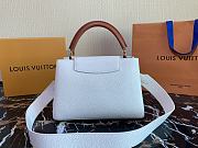 Louis Vuitton CapucinesBB white M59252 size 27 x 21 x 10 cm  - 2