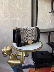 Chanel Boy Flap Bag Python Old Medium Snake Leather Grey 67086 Size 25×16×9cm - 2