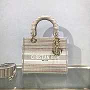 Dior Medium Lady D-Lite Bag Cloud Color Strips Gold Buckle Cannage Embroidery Size 24x20x11 cm - 1