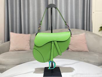 Dior Saddle Light Green Grained Calfskin Color Hardware Size 25.5 x 20 x 6.5 cm