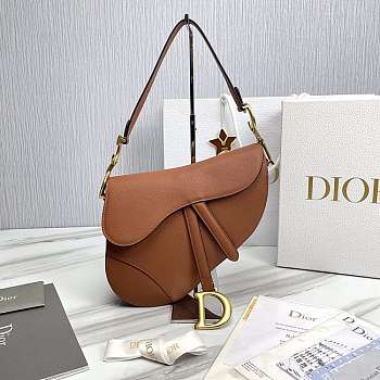 Dior Saddle Bag With Strap Brown Size 25.5 x 20 x 6.5 cm