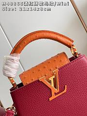 LV Capucines Mini Red & Orange Handle Size 21x14x8 cm - 4