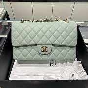 Chanel Flap Light Green Caviar Size 25 cm - 1