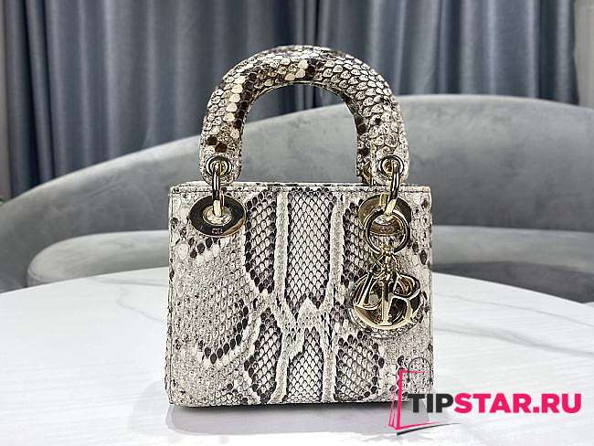 Dior Lady Python Skin Bag Size 17 x 7.5 x 13.5 cm - 1