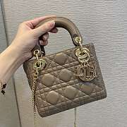 Dior Lady Milk Tea Color Bag Size 17 cm - 1