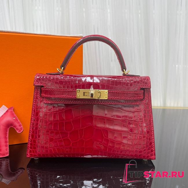 HERMES Birkin mini 19 cm Bag Lipstick Red Braise Porosus Crocodile Gold Hardware - 1