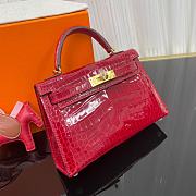 HERMES Birkin mini 19 cm Bag Lipstick Red Braise Porosus Crocodile Gold Hardware - 2