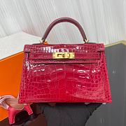 HERMES Birkin mini 19 cm Bag Lipstick Red Braise Porosus Crocodile Gold Hardware - 6