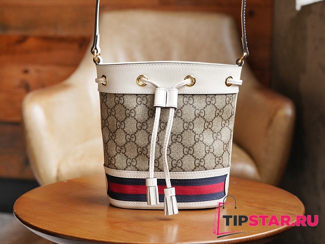 Gucci Ophidia mini bucket bag 550620 Size 15.5x19x9 cm - 1