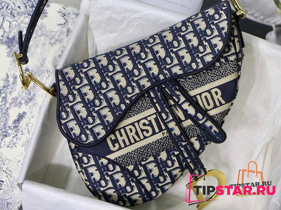Shop Christian Dior SADDLE SADDLE BAG Blue Dior Oblique Embroidery  (M0446CRIW_M932, M0446CRIW_M928) by PlacedeM