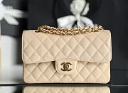 Chanel Classic Flap Bag Beige Grained Calfskin Gold Hardware Size 14.5x23x6cm - 1