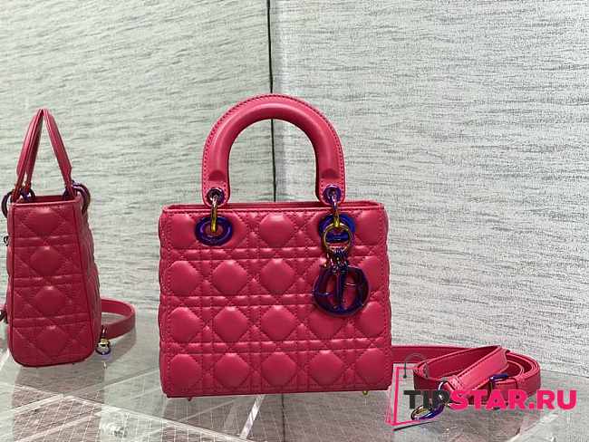 Dior Lady Small Pink Cannage Lambskin Size 20cm - 1