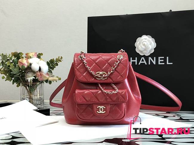  Chanel Backpack Duma Red Size 18×18×12 cm - 1