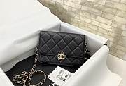 CHANEL WOC Wallet Size 19x12.5x3.5 cm - 1