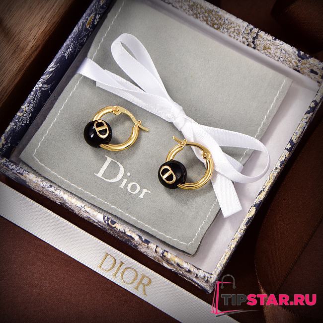 Christian Dior PETIT CD EARRINGS - 1