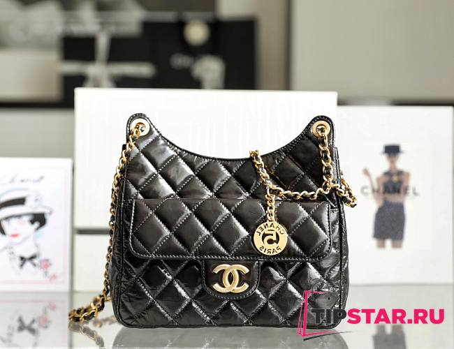 Chanel HOBO BAG Shiny Crumpled Calfskin & Gold-Tone Metal Black Size 22.5x21.5x7 cm - 1