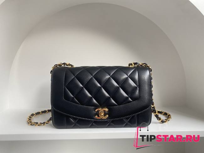 Chanel Black Classic Flap Leather Diana 22 Cross Body Bag Size 22.5x14x7 cm - 1