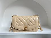 Chanel Beige Classic Flap Leather Diana 22 Cross Body Bag Size 22.5x14x7 cm - 1