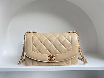 Chanel Beige Classic Flap Leather Diana 22 Cross Body Bag Size 22.5x14x7 cm