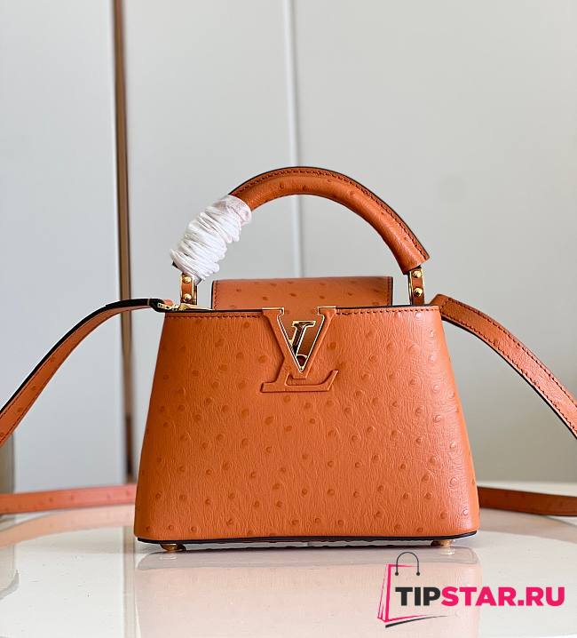 Louis Vuitton Capucine Ostrich Handbag Monogram Flower Orange Size 21x14x8 cm - 1