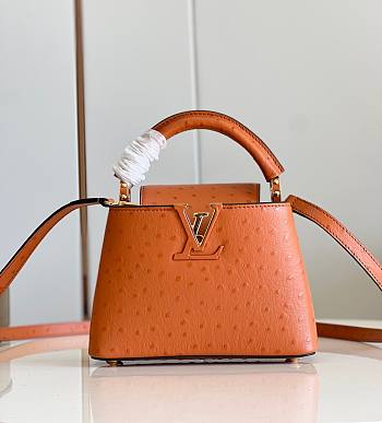 Louis Vuitton Capucine Ostrich Handbag Monogram Flower Orange Size 21x14x8 cm