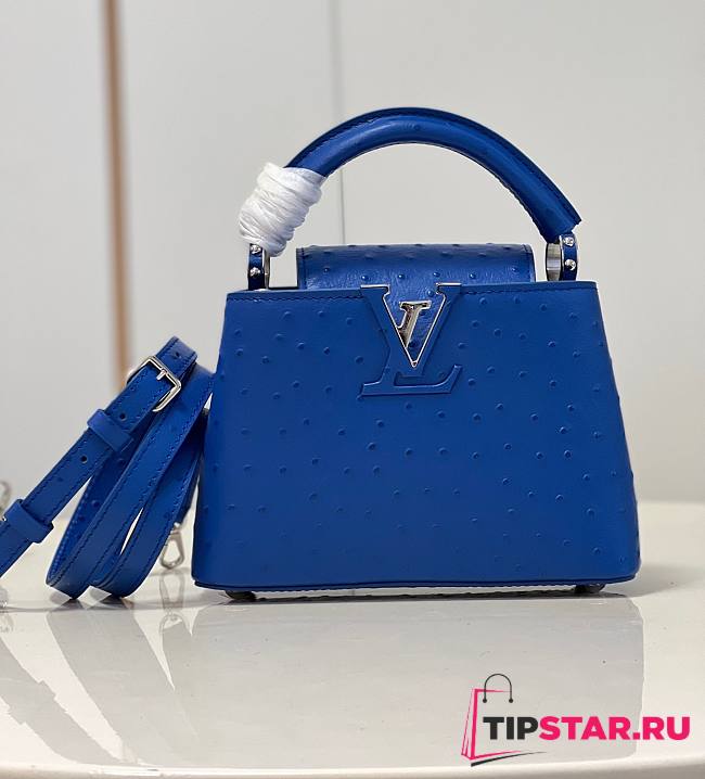 Louis Vuitton Capucine Ostrich Handbag Monogram Flower Blue Size 21x14x8 cm - 1