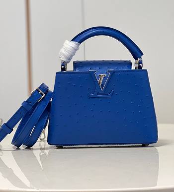 Louis Vuitton Capucine Ostrich Handbag Monogram Flower Blue Size 21x14x8 cm