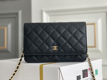Chanel Classic Woc Wallet On Gold Chain Size 12.3x19.2x3.5 cm