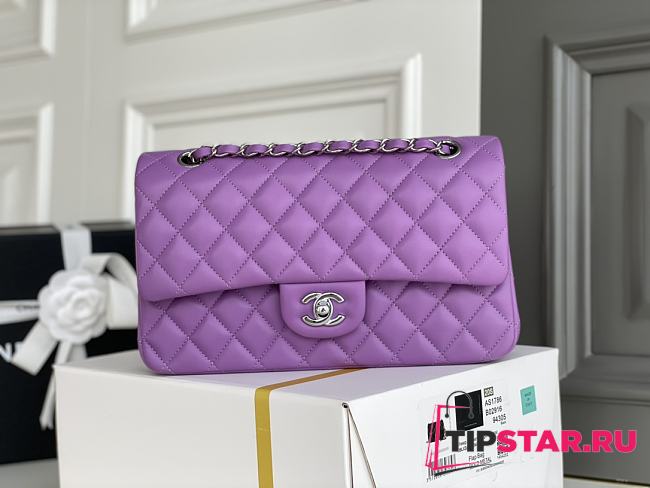 Chanel Purple Quilted Lambskin Classic Single Flap Bag Silver Hardware Size 25x15x6 cm - 1