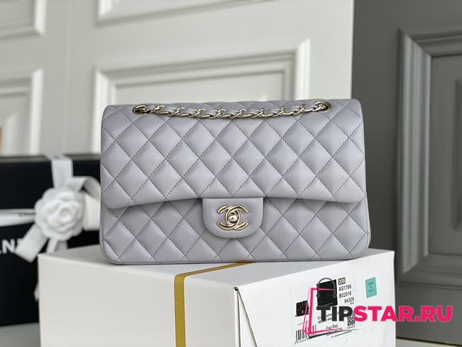 Chanel Pale Gray Quilted Lambskin Classic Single Flap Bag Silver Hardware Size 25x15x6 cm - 1