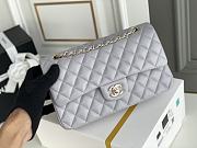 Chanel Pale Gray Quilted Lambskin Classic Single Flap Bag Silver Hardware Size 25x15x6 cm - 4