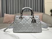 Dior Lady 95.22 Bag Hanbag Release Grey Size 30x18x12 cm - 1
