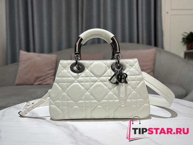 Dior Lady 95.22 Bag Hanbag Release White Size 30x18x12 cm - 1