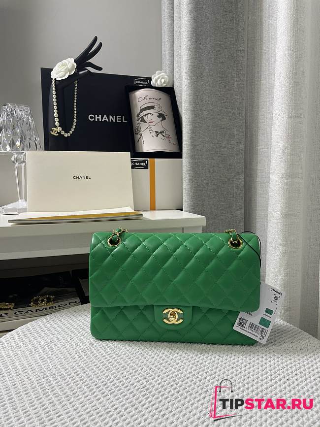 Chanel Green Quilted Lambskin Classic Single Flap Bag Gold Hardware Size 25x15x6 cm - 1