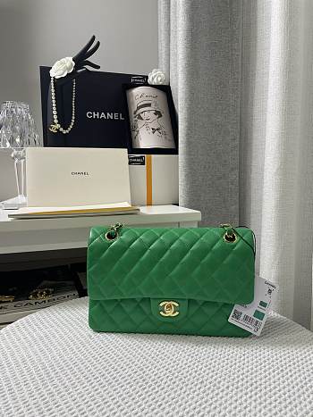 Chanel Green Quilted Lambskin Classic Single Flap Bag Gold Hardware Size 25x15x6 cm