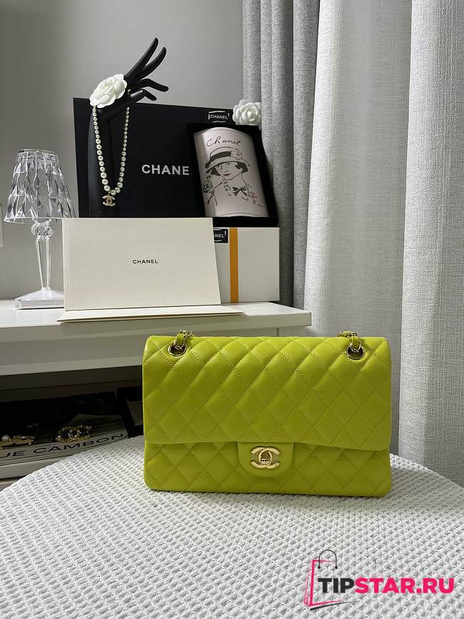 Chanel Neon Green Quilted Lambskin Classic Single Flap Bag Gold Hardware Size 25x15x6 cm - 1