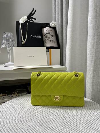 Chanel Neon Green Quilted Lambskin Classic Single Flap Bag Gold Hardware Size 25x15x6 cm