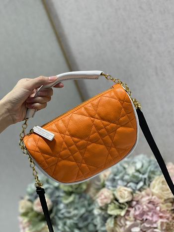 SMALL DIOR VIBE HOBO BAG orange Cannage Lambskin Size 20×15×7cm