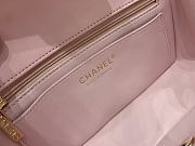 Chane Pink Flap Bag Limited Edition Lion Charm Size 20 x 14 x 7 Cm - 5
