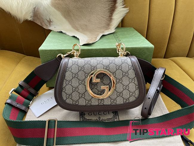 Gucci Blondie Beige bag 698643 Size 22x13x5.5 cm - 1
